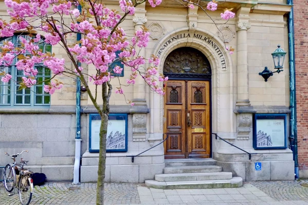 The entrance of the IIIEE building with a blooming pink tree in front. Photo. 