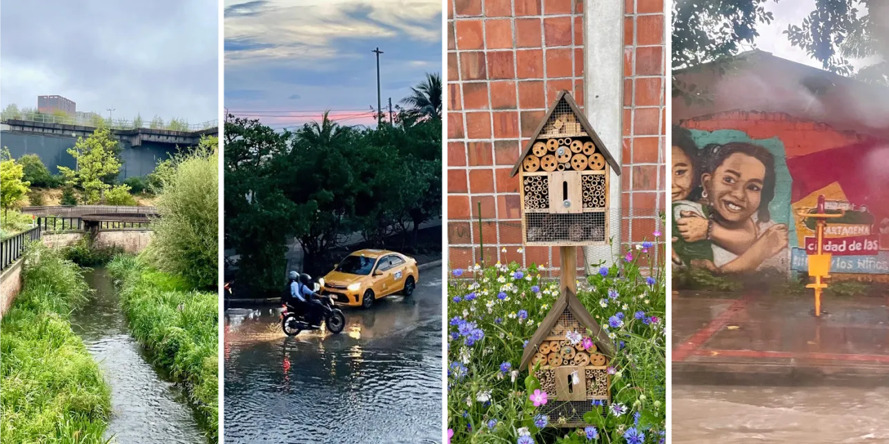 Collage of photos of cities, water and greens