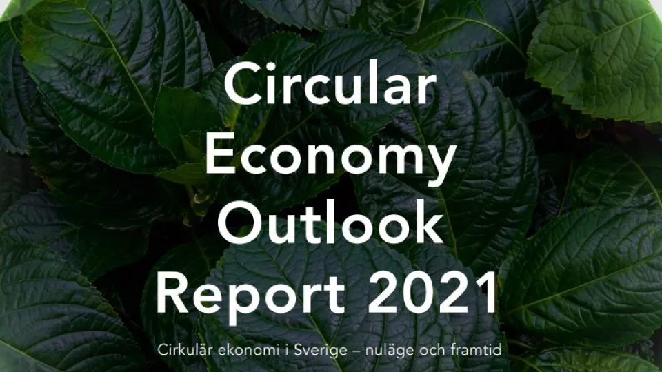 Green background with text Circular Economy Outlook Report 2021. 