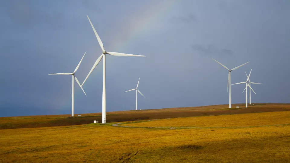White windmills on a field with a rainbow in the background. 