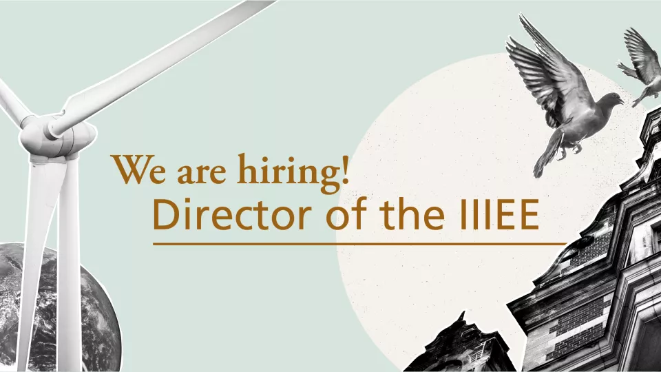 Graphics with text we are now hiring Director of the IIIEE. 