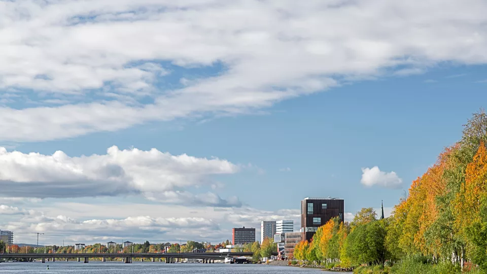 Umeå stad. Vatten, blå himmel med moln, stora byggnader långt borta och träd i höstfärger. Foto. 