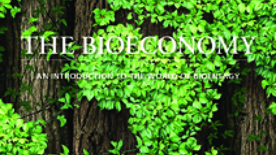 The Bioeconomy: An Introduction to the World of Bioenergy