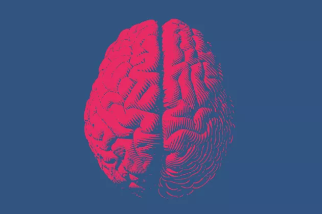 Illustration of a human brain in red on a blue background. 