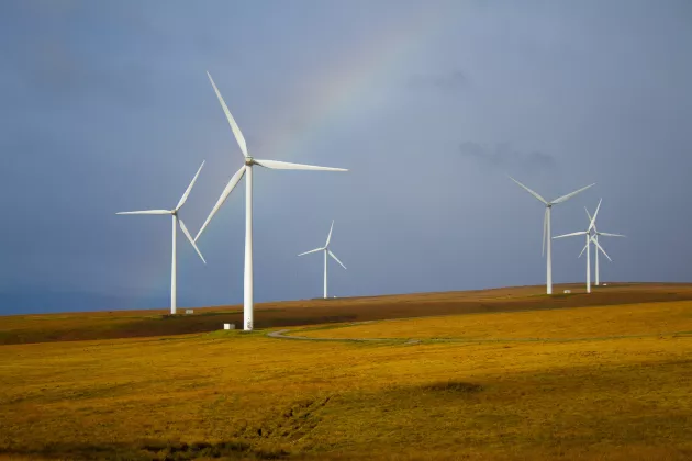 White windmills on a field with a rainbow in the background. 