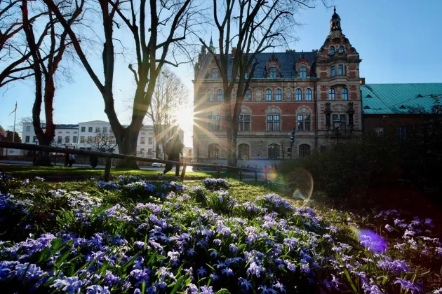 Flowers in the foreground and a building in the background