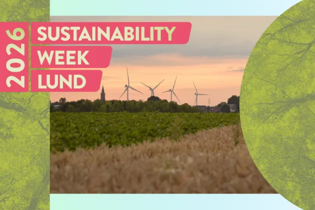 Wind turbines in a distance. Photo.