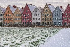 Houses and snow