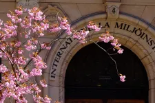 Entrance door and cherry blossom