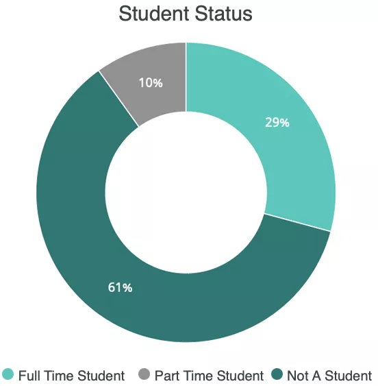 Pie chart on student status