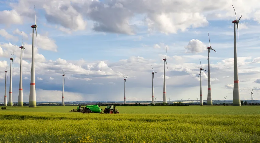 A photo pf several windmills against the horizon