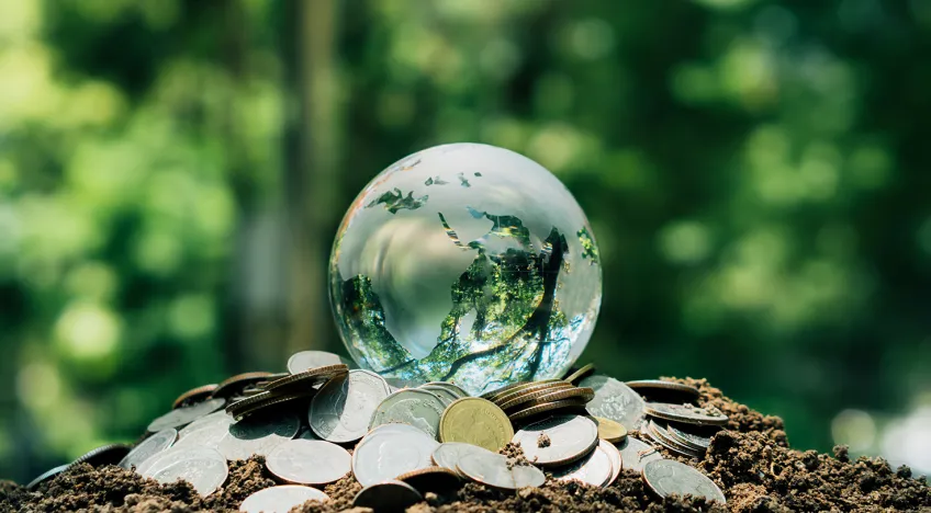 Post-Growth Business.jpeg