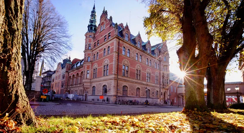 Beautiful building and trees